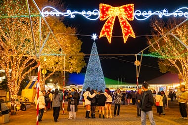 サンポート高松で開催中「KAGAWA Christmas Market 2025」に行ってきた